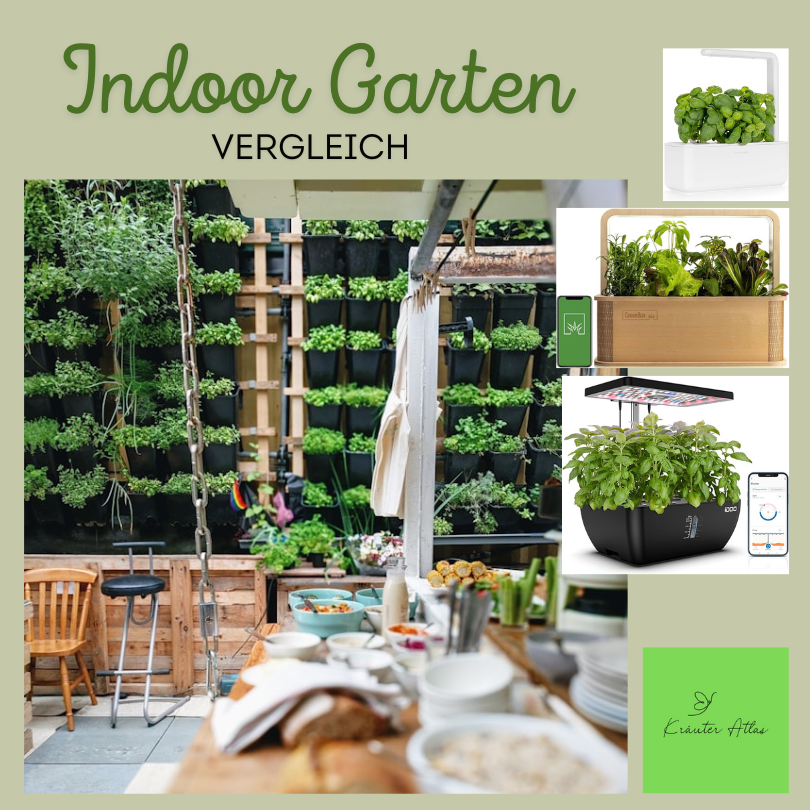 Indoor Garden Vergleich