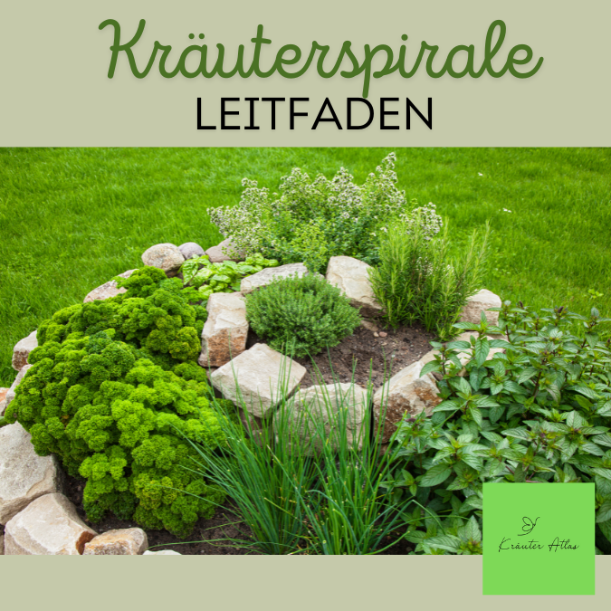 Kräuterspirale