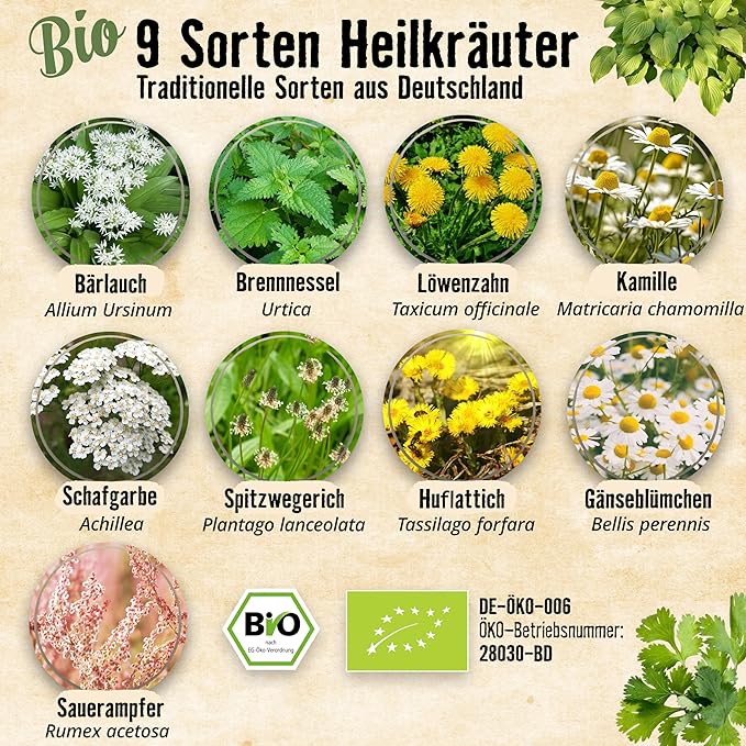 Heilkräuter Set