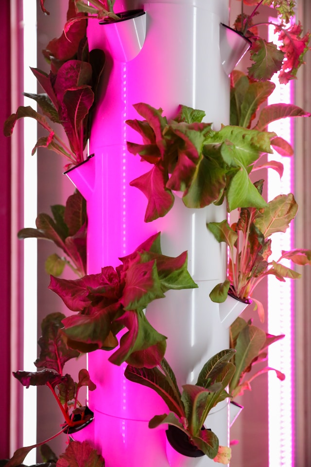 vertikales hydroponic system