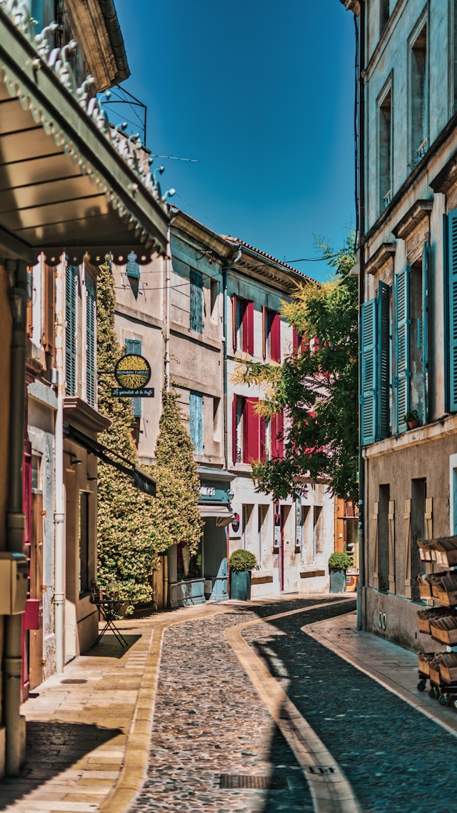 Kräuter der Provence Saint Remy