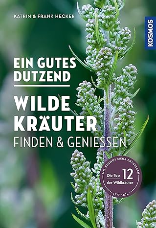 Wilde Kräuter finden und genießen